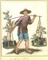 A Chinese Porter. (Flower Carrier).