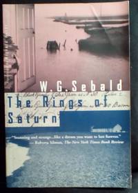 The Rings of Saturn