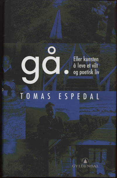Gå. Eller kunsten å leve et vilt og poetisk liv