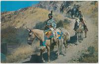 Indians on the Trail, unused Postcard