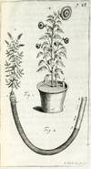 Vegetable Staticks: Or, An Account of some Statical Experiments on the Sap in Vegetables (1727); I: Statical Essays: containing Vegetable Staticks and II: Statical Essays: containing Hæmastaticks (1731-33)