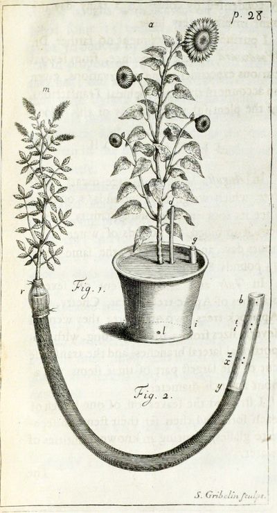 Vegetable Staticks: Or, An Account of some Statical Experiments on the Sap in Vegetables (1727); I: Statical Essays: containing Vegetable Staticks and II: Statical Essays: containing Hæmastaticks (1731-33)