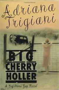 Big Cherry Holler Book 2 of 4: Big Stone Gap