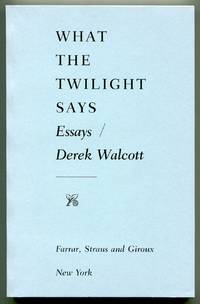 What the Twilight Says: Essays