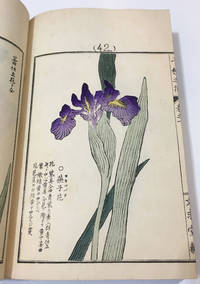 image of Chigusa no Hana