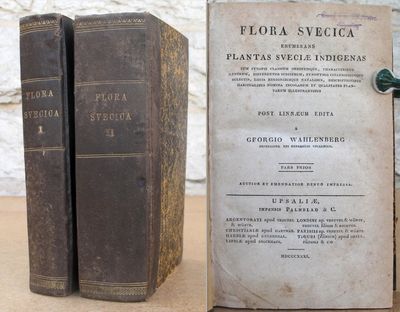 Flora Svecia enumerans plantas sueciae indigenas.