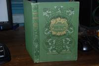 image of WANTED - A CHAPERON; With illust. by Howard Chandler Christy, decorations by Margaret Armstrong
