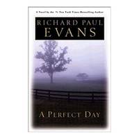 A Perfect Day (Hardcover)