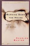BURNING DOWN THE HOUSE. ESSAYS IN FICTION
