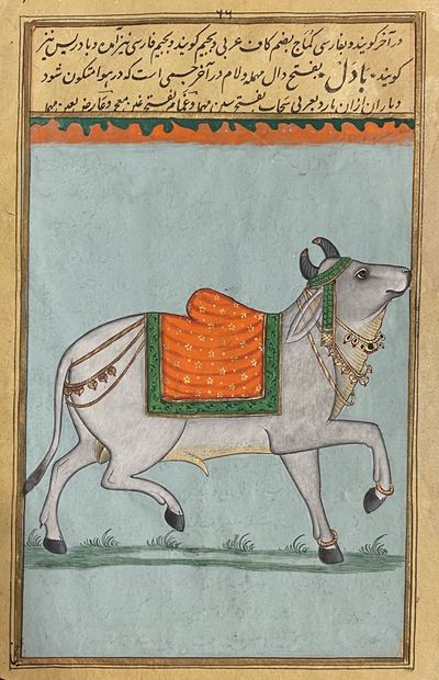 [INDIAN PAINTINGS ON MANUSCRIPT LEAVES: A BULL AND A CAMEL]. A pair of paintings in gold and color, overpainted on a manuscript of a Persian / Urdu dictionary