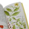 View Image 5 of 6 for Hallucinogenic Plants (A Golden Guide) Inventory #140943469