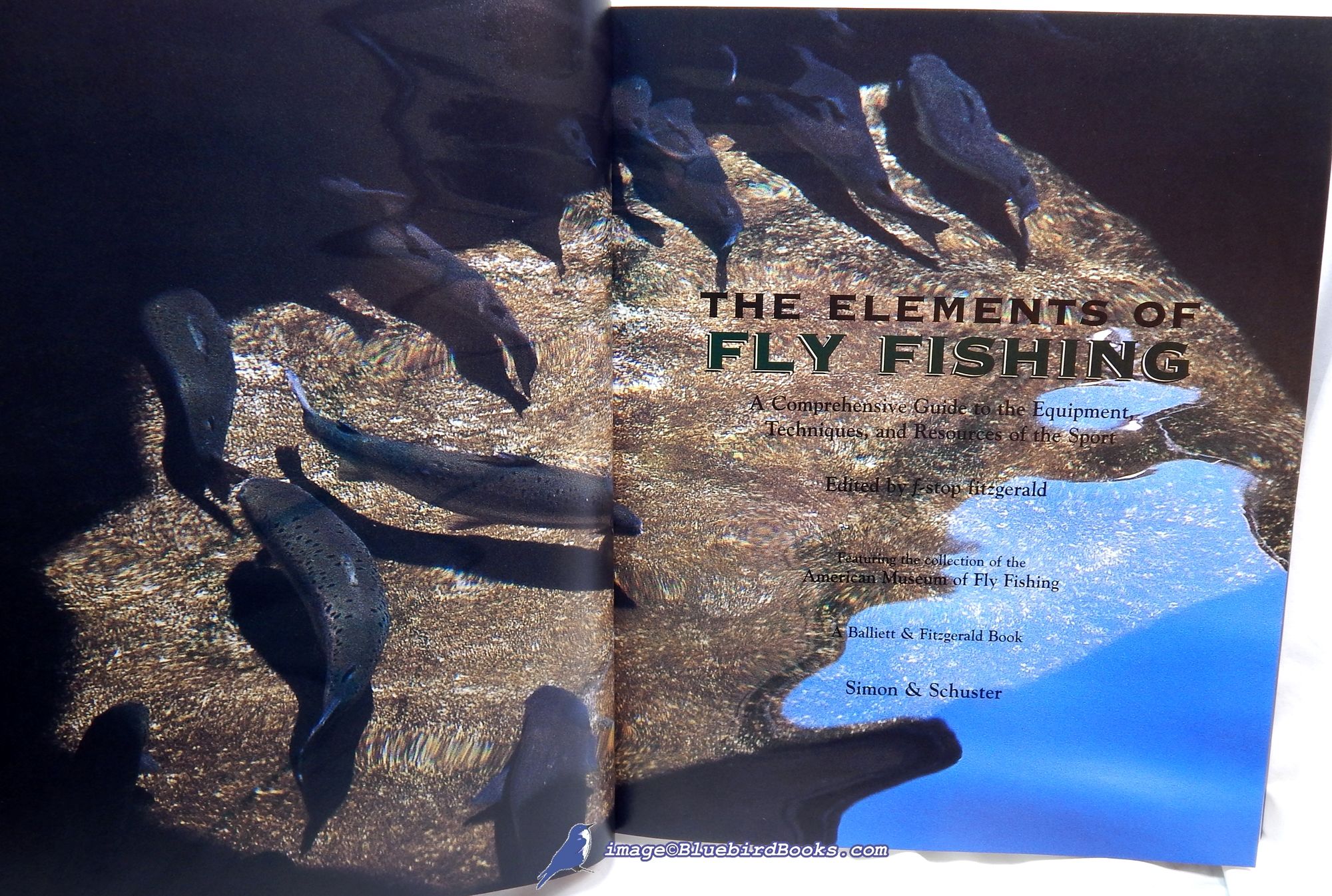 The Elements of Fly Fishing: A Comprehensive Guide to the