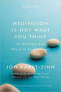 cover of Meditation Is Not What You Think: Mindfulness and Why It Is So Important