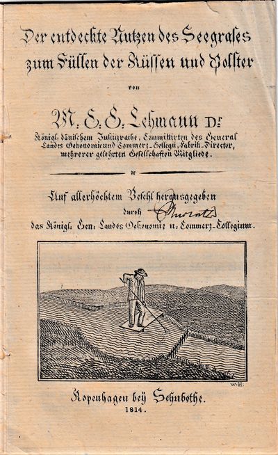Der endeckte Nutzen des Seegrases zum Füllen der Küssen und Polster. <br />