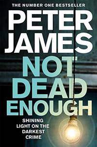 Not Dead Enough (Detective Superintendent Roy Grace, 3)