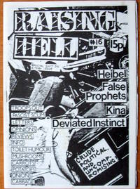 image of Raising Hell No. 16. Punk Music Zine.