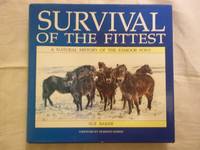 image of Survival of Fittest - Natural History of the Exmoor Pony