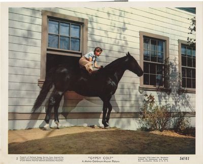 Gypsy Colt (Six original photographs from the 1954 film)
