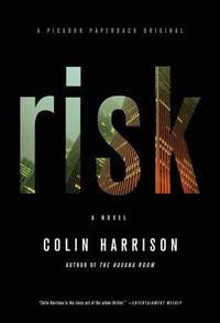 Risk : A Novel
