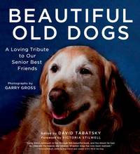 Beautiful Old Dogs: A Loving Tribute to Our Senior Best Friends