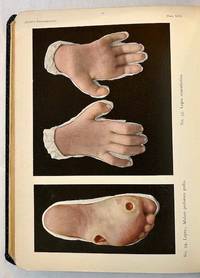 Portfolio of Dermochromes (3 Volumes)