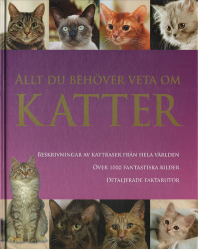 ALLT DU BEHÖVER VETA OM KATTER.