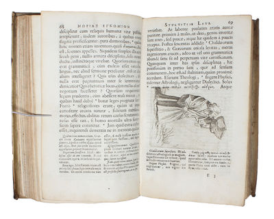 Morias enkomion (Greek). Stultitiae laus. Des. Erasmi Rot. declamatio, cum commentariis Ger. Listrii & Figuris Jo. Holbenii. Ex codice Academiae Basiliensis. Accedunt, Dedicatio Illustrissimo Colberto. Praefatio Caroli Patini. Vita Erasmi. Catalogus o... (photo 2)