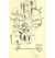 Original Hand Sketched Illustration by May Wilson Preston, Gros Horloge