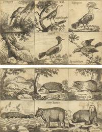 image of Spelling Cards