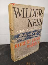 cover of Wilderness a Tale of the Civil War