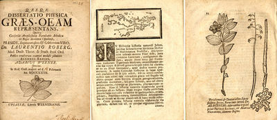 Dissertatio physica Græs-Oeam repræsentans [...].