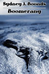 Boomerang: A Crime Novel