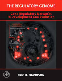 The Regulatory Genome: Gene Regulatory Networks In Development And Evolution