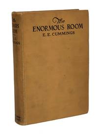 cover of The Enormous Room