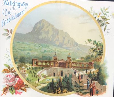 NATURAL SPRING OF BILIN. RENOWNED MEDICINAL SPRING. BILIN DIGESTIVE TABLETS. The Direction of the Springs Bilin Bohemia. [cover title]