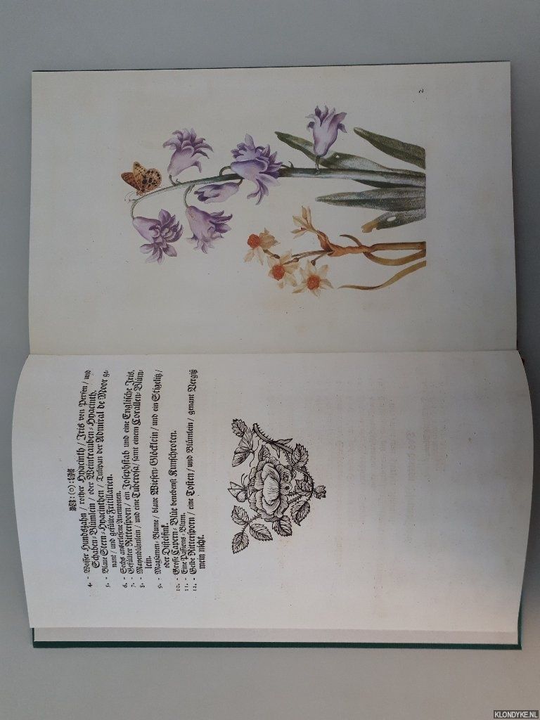 Neues Blumenbuch / New Book of Flowers by Merian, Maria