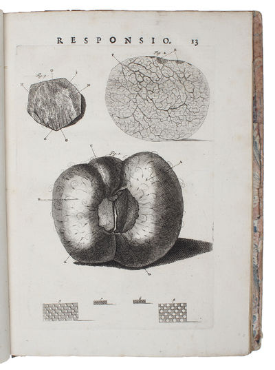 Epistola Problematica (Anatomica; Problematica).…
