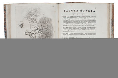 Epistola Problematica (Anatomica; Problematica). Prima - (Nona Pars). (1-9). 9 vols. (photo 2)