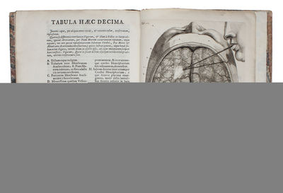 Epistola Problematica (Anatomica; Problematica). Prima - (Nona Pars). (1-9). 9 vols. (photo 3)