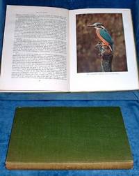 BIRDS IN COLOUR by Walter E Higham - Hardcover - 1946 - from Abbey Antiquarian Books (SKU: A72593)