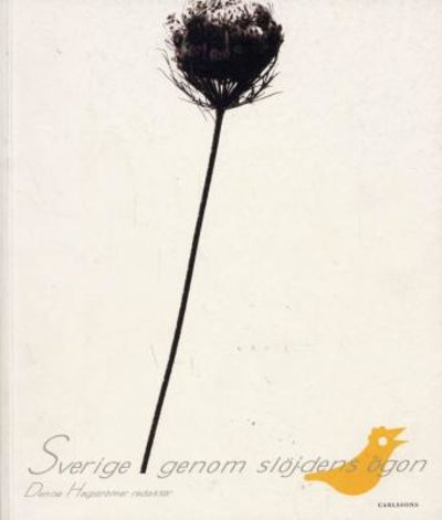 Sverige genom slöjdens ögon.