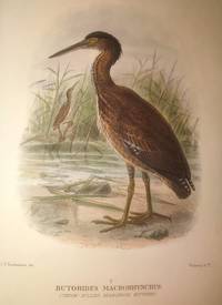 The Birds of Australia -- Volume III   With 74 hand-coloured plates