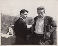 cover of Rebel Without a Cause (Original photograph of James Dean and Sal Mineo from the 1955 film)