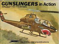 Gunslingers in Action (Aircraft Number 14)