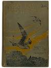Gray Lady and the Birds: Stories of the Bird Year for Home and School