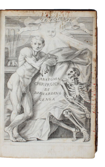 Anatomia chirurgica cioè Istoria anatomica…