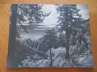 Original Photograph- Sierra Nevada Mountains