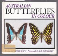 Australian Butterflies In Colour