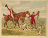 Scraps From the Sketch-Book of Henry Alken