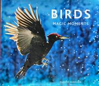 Birds: magic moments